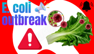 Contaminated romaine lettuce linked to E. coli outbreak