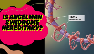 Chromosome 15 with UBE3A gene labeled, associated with Angelman Syndrome